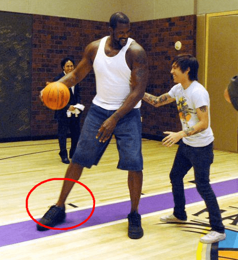 厄德高负责 厄德高负责