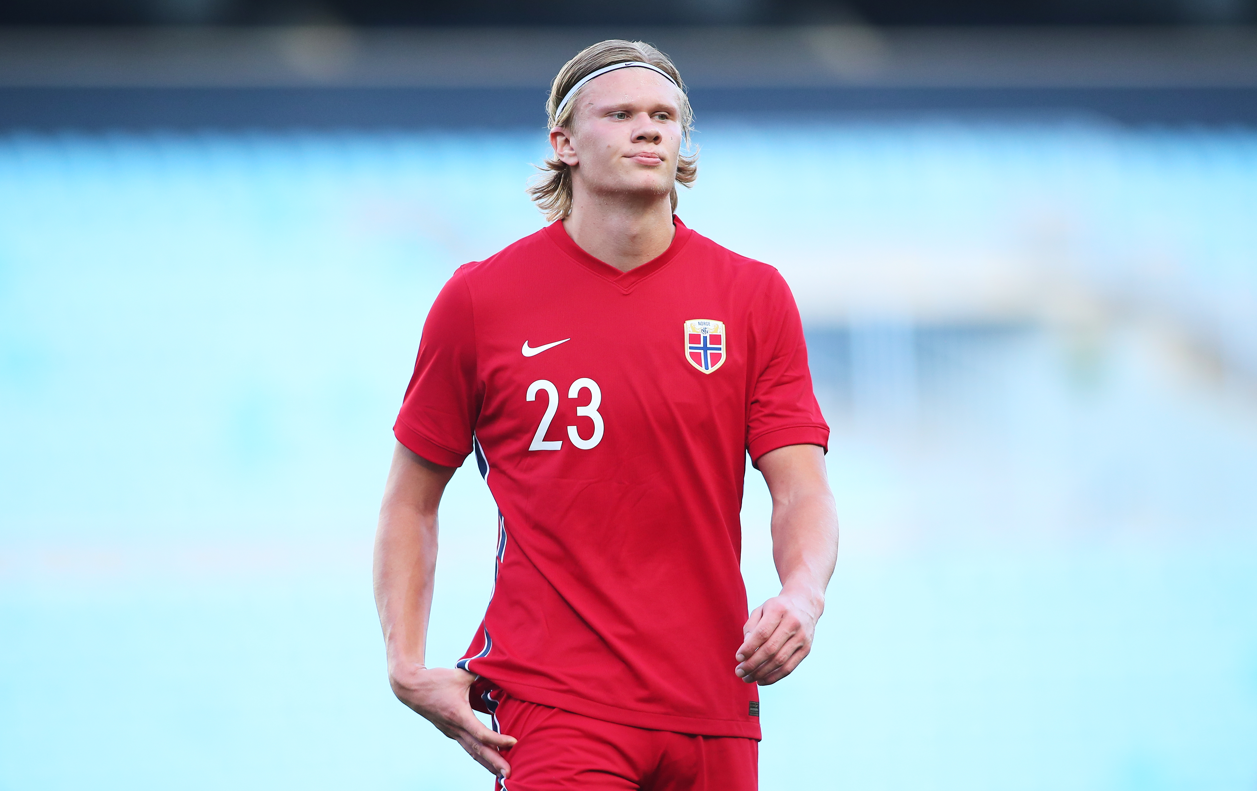 伴随理性购 伴随理性购